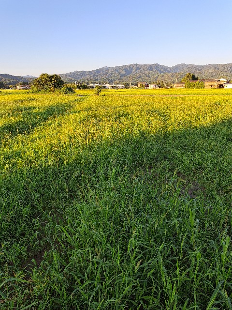 f:id:newgenworld:20220821210226j:image f:id:newgenworld:20220821210226j:image