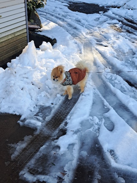 f:id:newgenworld:20230212220236j:image f:id:newgenworld:20230212220236j:image