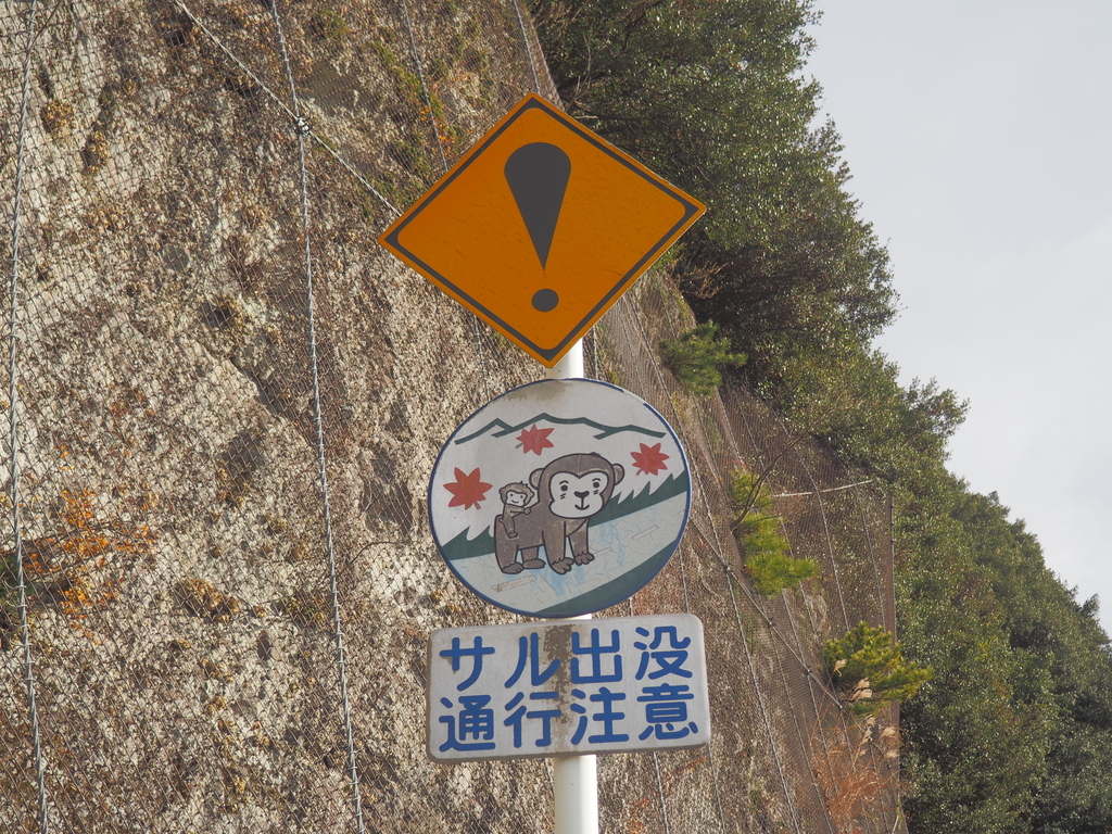 f:id:newkohin:20190211024400j:plain