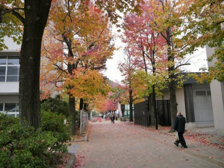 f:id:news-worker:20161205003311j:image:w480