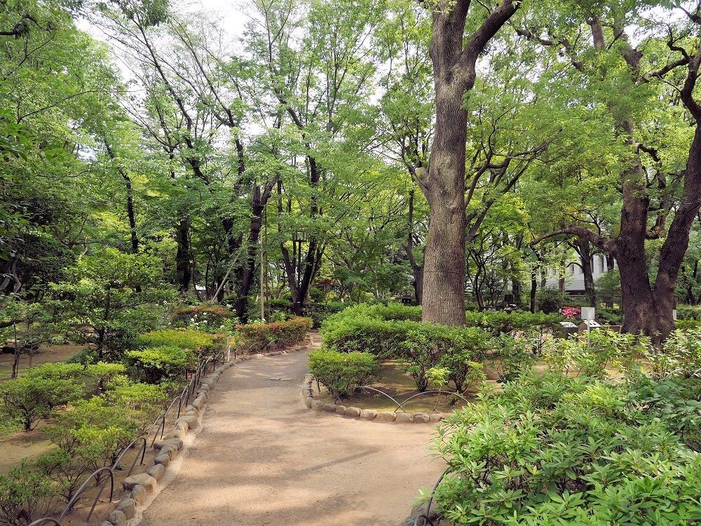 f:id:news-worker:20190610235323j:plain