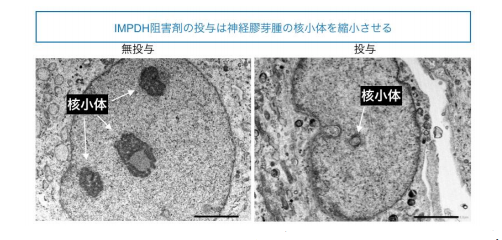 f:id:newspaper-ama:20190816194944p:plain f:id:newspaper-ama:20190816194944p:plain