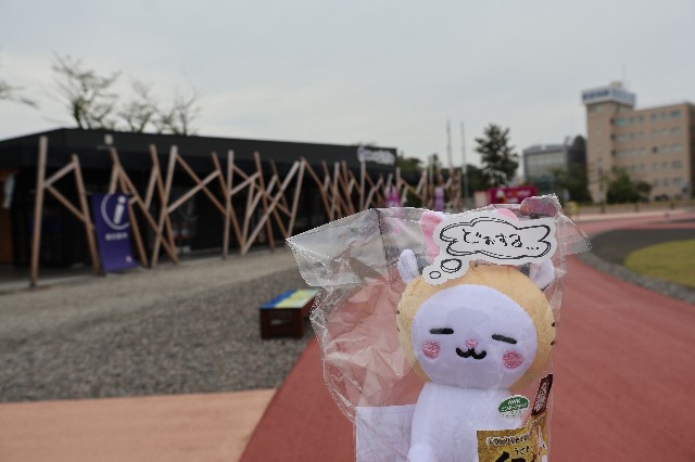 f:id:newtamago:20230429120650j:image