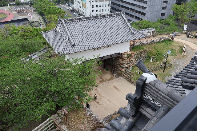 f:id:newtamago:20230429121753j:image