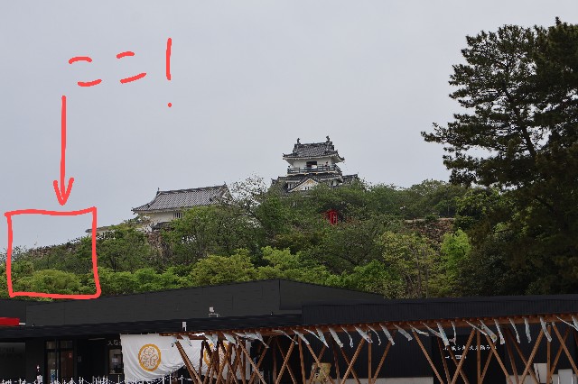 f:id:newtamago:20230429123515j:image