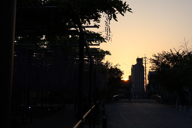f:id:newtamago:20230512133053j:image