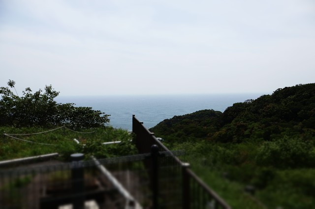 f:id:newtamago:20230530143045j:image