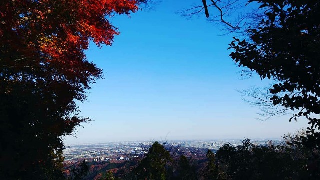 f:id:newworld0530:20191219004633j:plain f:id:newworld0530:20191219004633j:plain