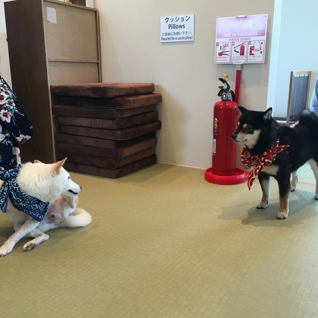 f:id:nextlocation:20180512154328j:plain f:id:nextlocation:20180512154328j:plain
