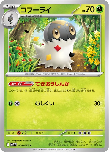 f:id:nextnext1113401:20250514125925j:image
