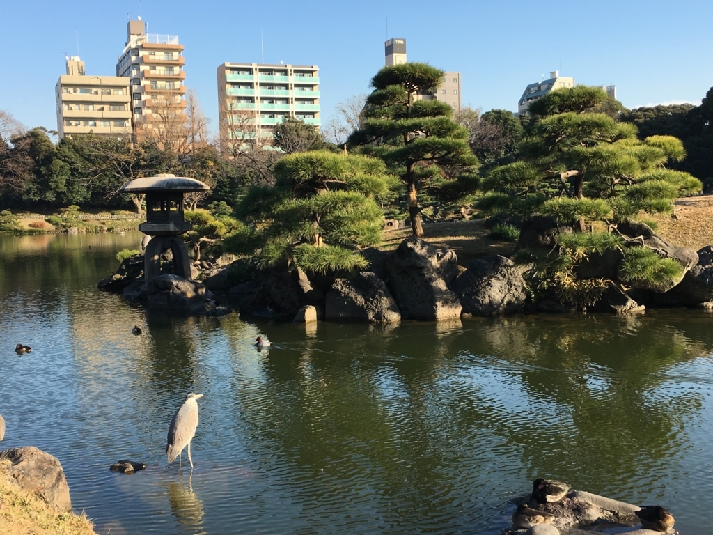 f:id:nextousan:20180122111440j:plain f:id:nextousan:20180122111440j:plain