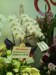 f:id:nextscape_blog:20210908191540j:plain