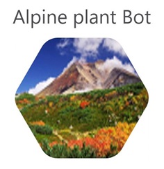 f:id:nextscape_blog:20210910203213j:plain