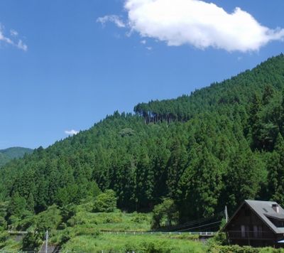 自然がある風景