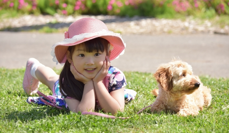 犬と子供