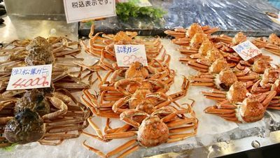 境港水産物直売センター境港に販売されているカニ