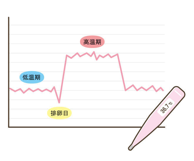 生理周期