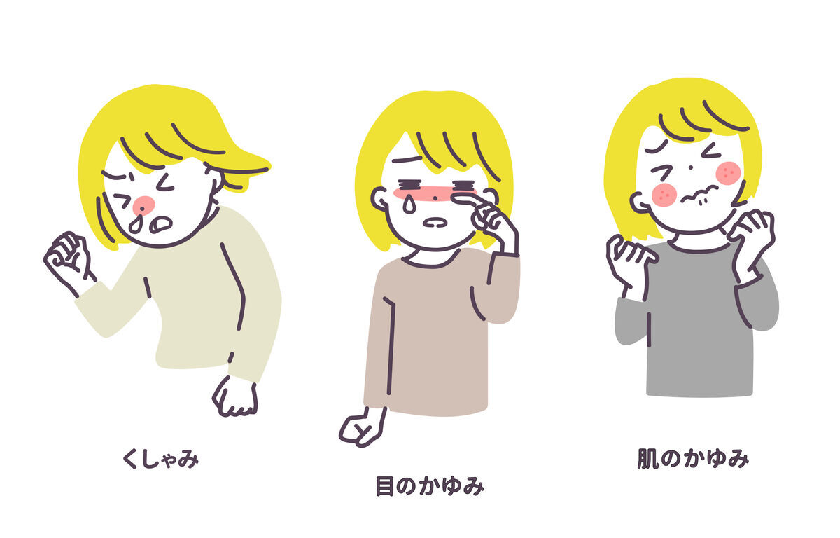 黄砂による代表的な体への影響