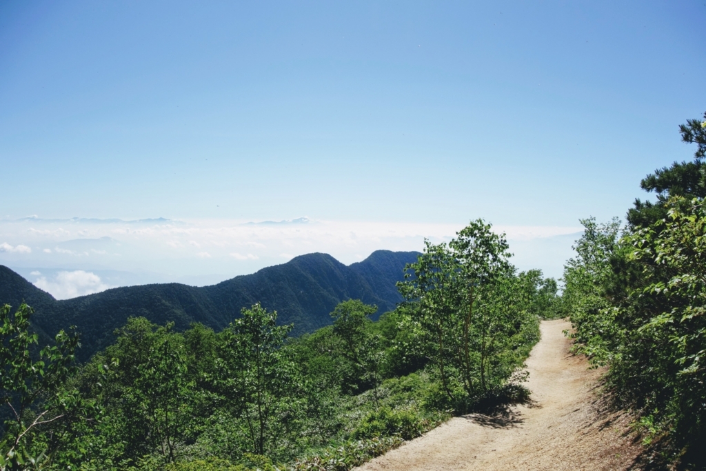 f:id:nexusuica:20180816174939j:plain f:id:nexusuica:20180816174939j:plain