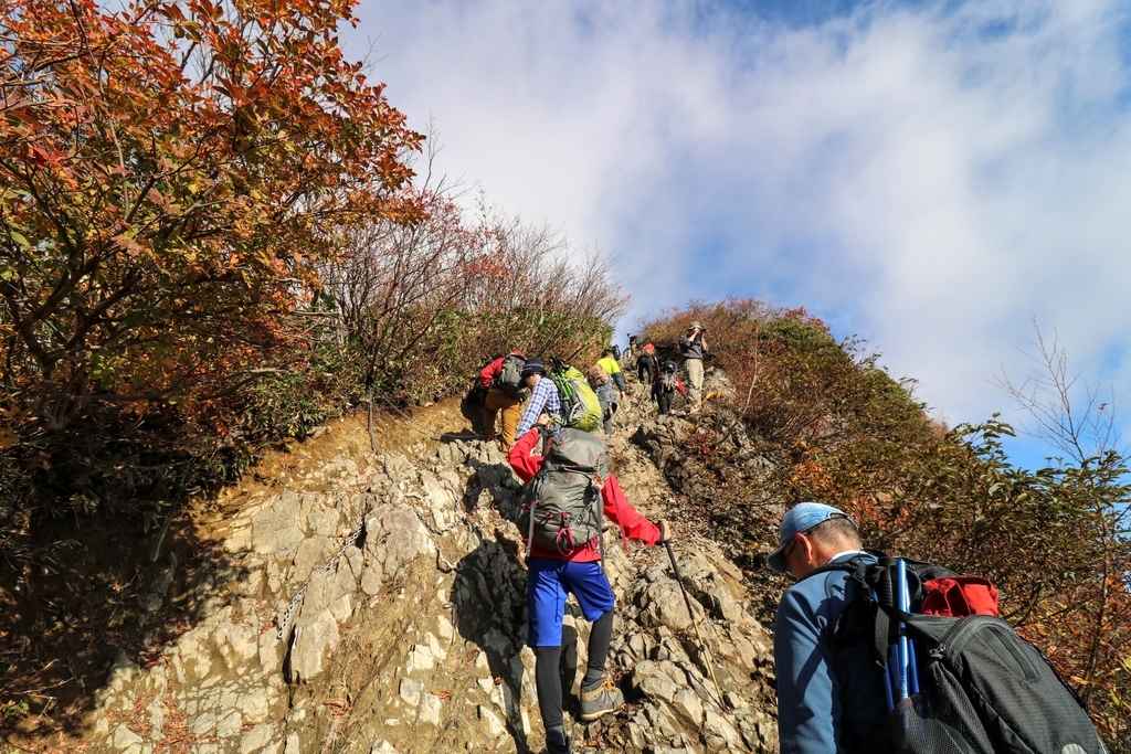 f:id:nexusuica:20181023124232j:plain f:id:nexusuica:20181023124232j:plain