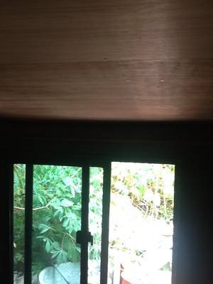 f:id:neyukix:20181129192824j:plain タイで家をDIYで建てる