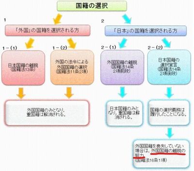 f:id:neyukix:20190412091107j:plain 国籍の選択宣言の説明図