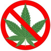 f:id:neyukix:20190428224618j:plain 英語での大麻の断り方