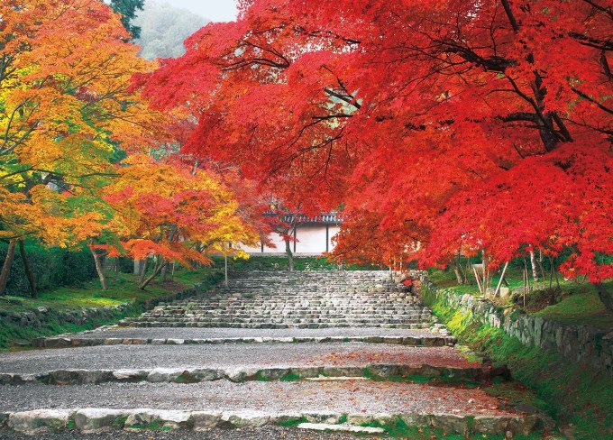 f:id:nezujiro:20171226173030j:plain f:id:nezujiro:20171226173030j:plain