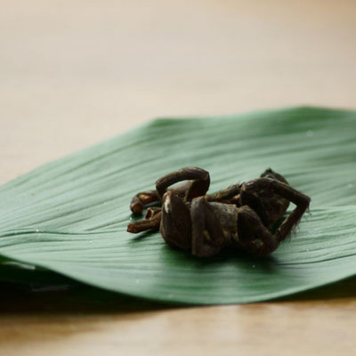 f:id:nezujiro:20180202144934j:plain