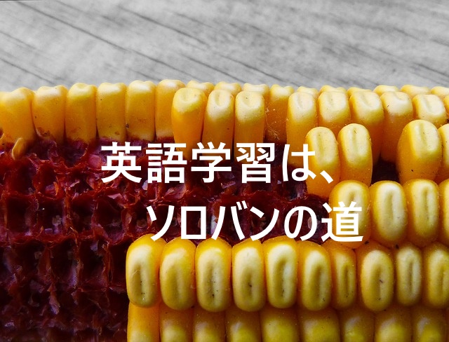 f:id:nezujiro:20180425062654j:plain f:id:nezujiro:20180425062654j:plain