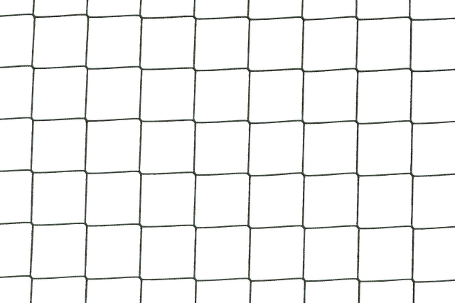 f:id:nezujiro:20180628141530p:plain f:id:nezujiro:20180628141530p:plain