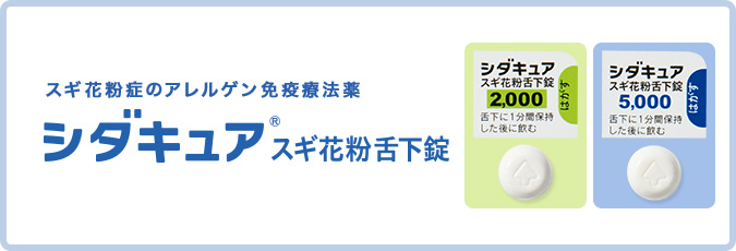 f:id:nezujiro:20180911110645j:plain