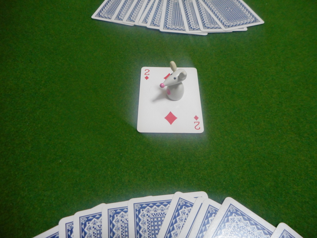 f:id:nezumileader:20190120215122j:plain f:id:nezumileader:20190120215122j:plain