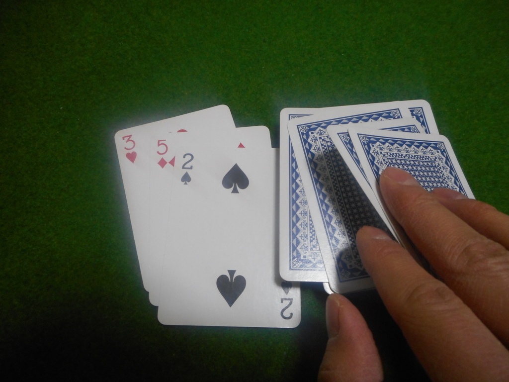 f:id:nezumileader:20190120215700j:plain f:id:nezumileader:20190120215700j:plain