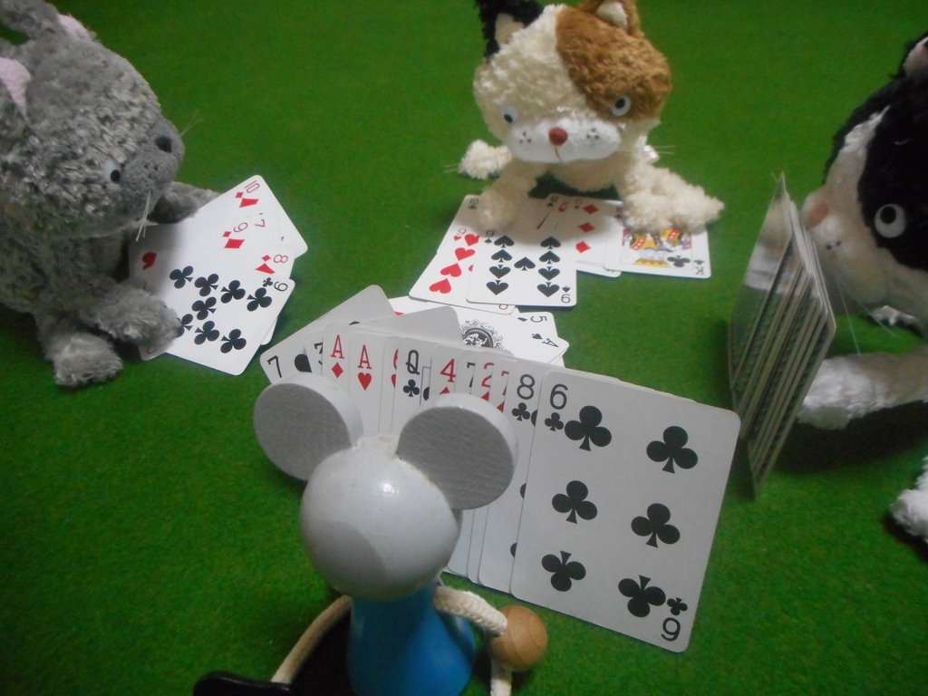 f:id:nezumileader:20190306153834j:plain f:id:nezumileader:20190306153834j:plain