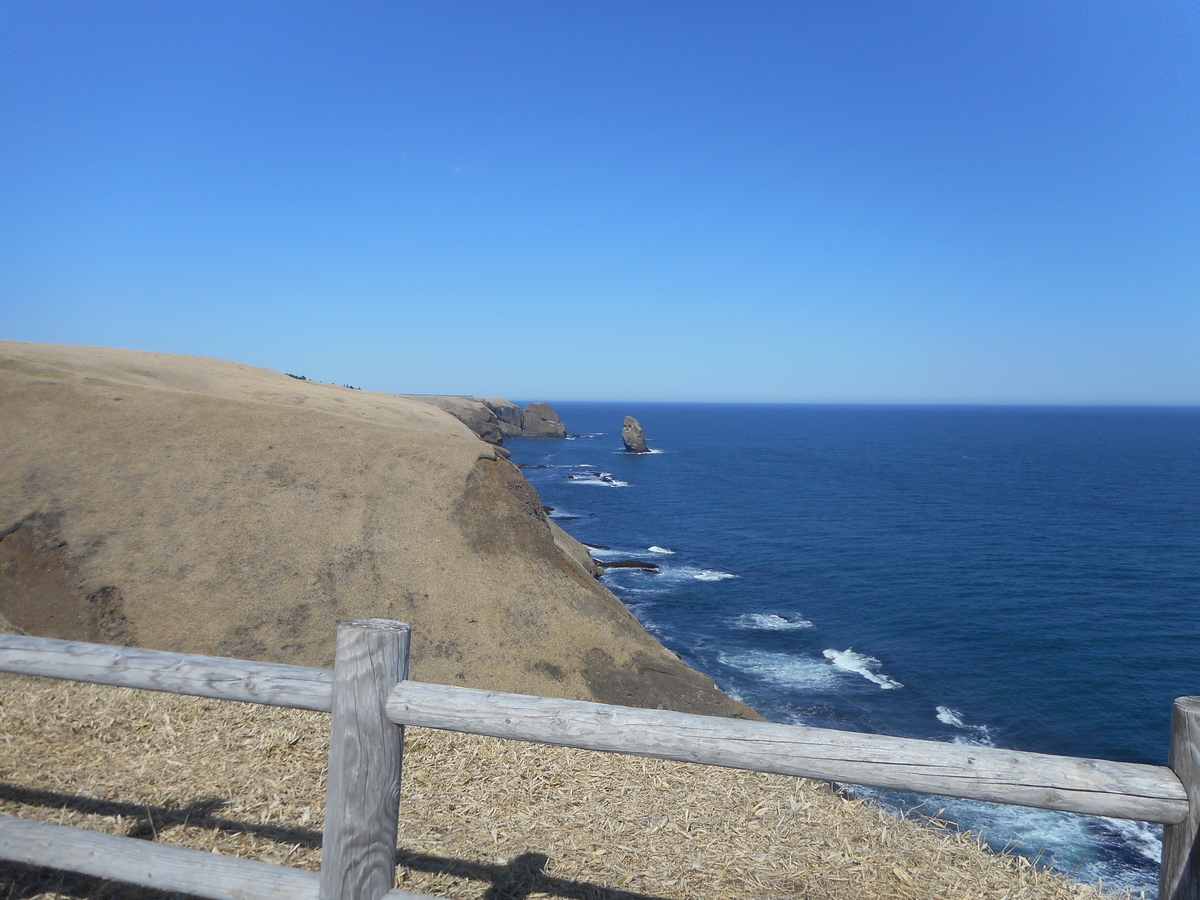 f:id:nezumileader:20190506133057j:plain f:id:nezumileader:20190506133057j:plain