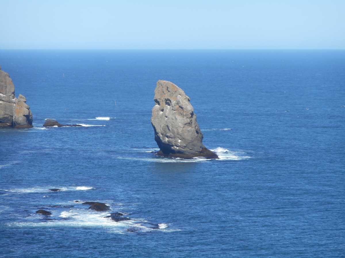 f:id:nezumileader:20190506133059j:plain f:id:nezumileader:20190506133059j:plain