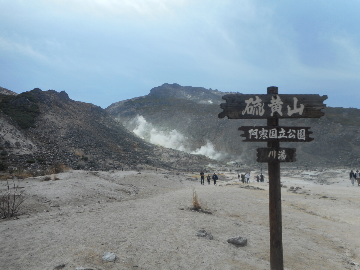 f:id:nezumileader:20190506133345j:plain f:id:nezumileader:20190506133345j:plain