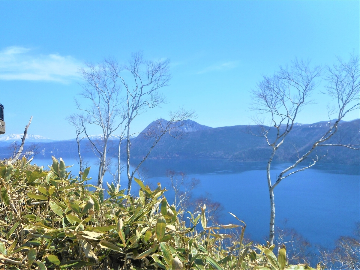 f:id:nezumileader:20190506190825j:plain f:id:nezumileader:20190506190825j:plain
