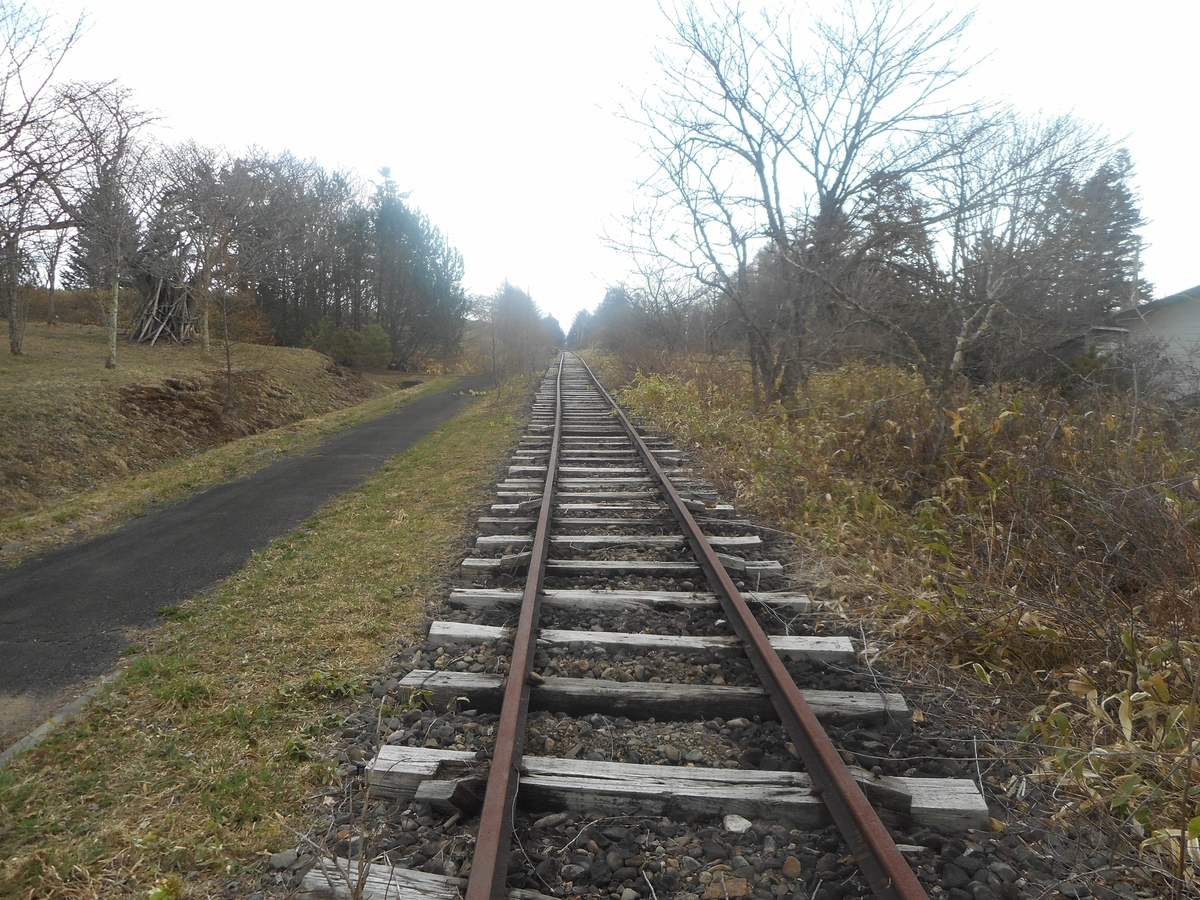 f:id:nezumileader:20190528231303j:plain f:id:nezumileader:20190528231303j:plain