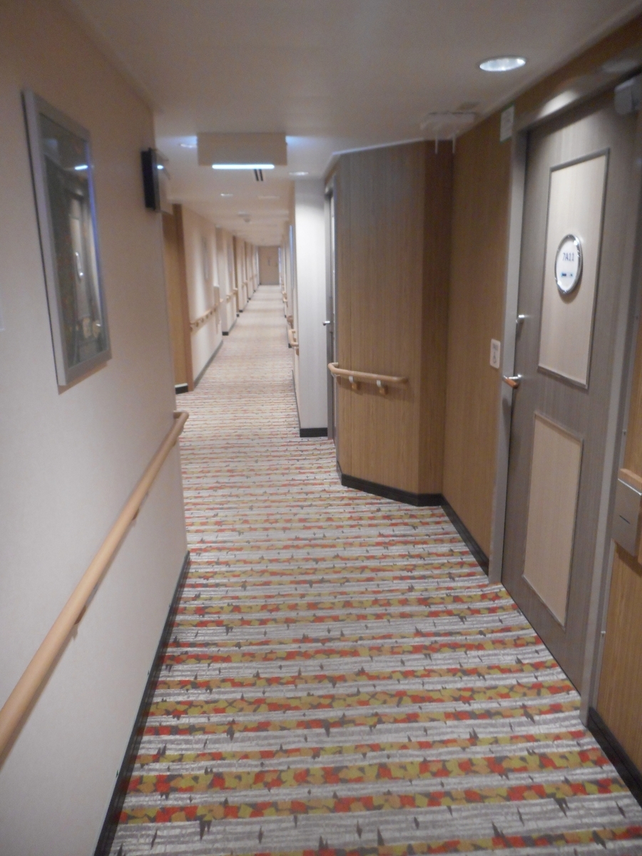 f:id:nezumileader:20190528231602j:plain f:id:nezumileader:20190528231602j:plain
