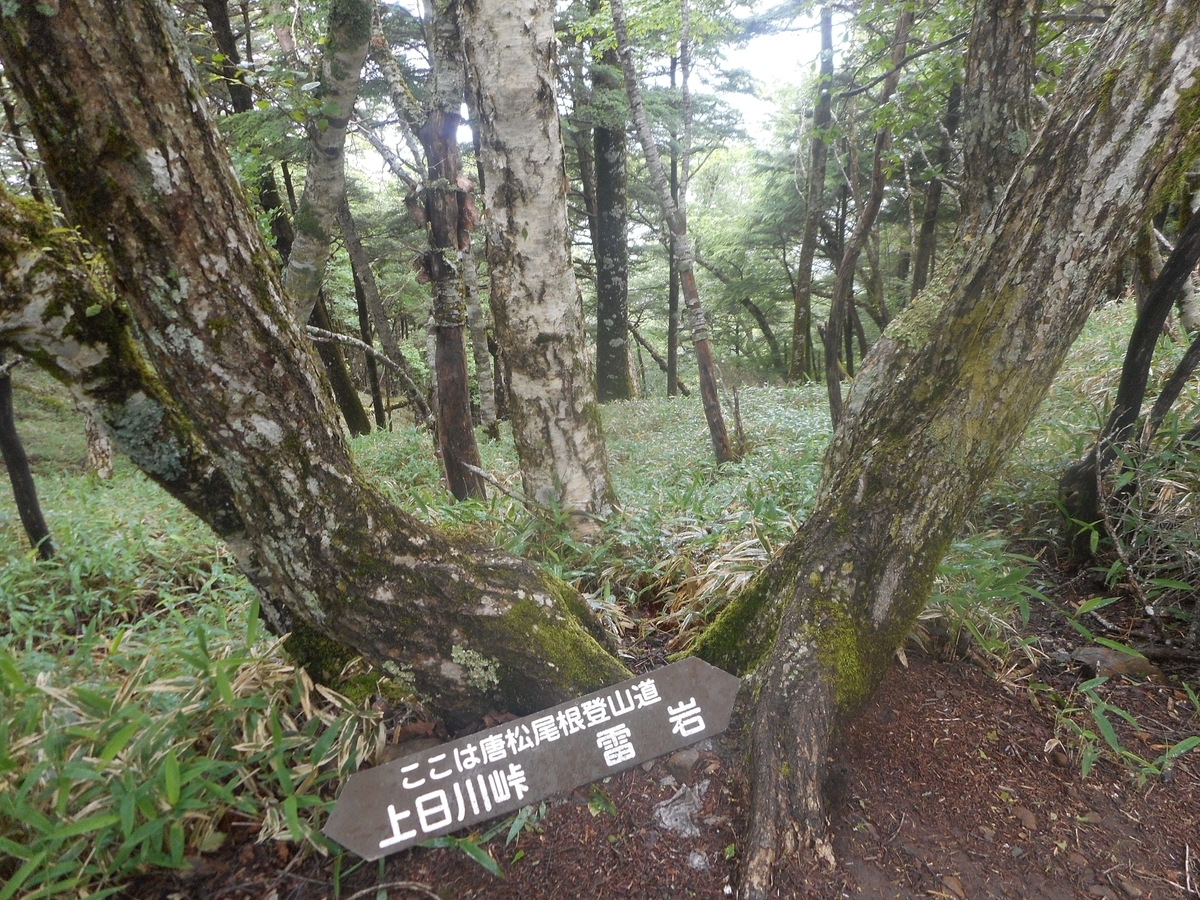 f:id:nezumileader:20190729234302j:plain f:id:nezumileader:20190729234302j:plain