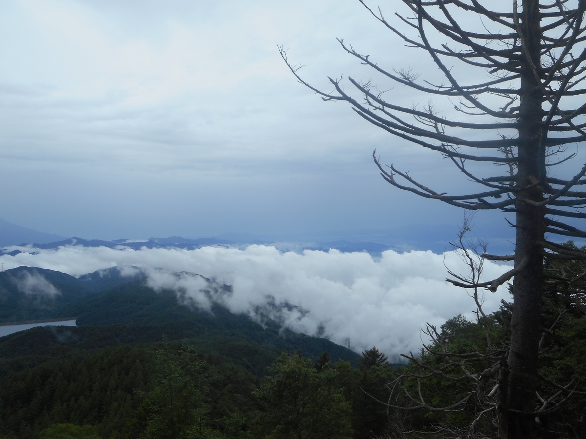 f:id:nezumileader:20190729234309j:plain f:id:nezumileader:20190729234309j:plain