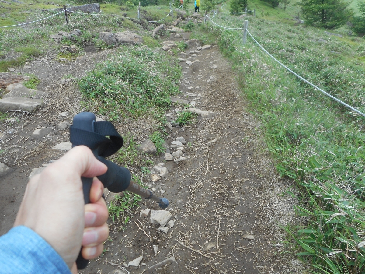 f:id:nezumileader:20190729234841j:plain f:id:nezumileader:20190729234841j:plain