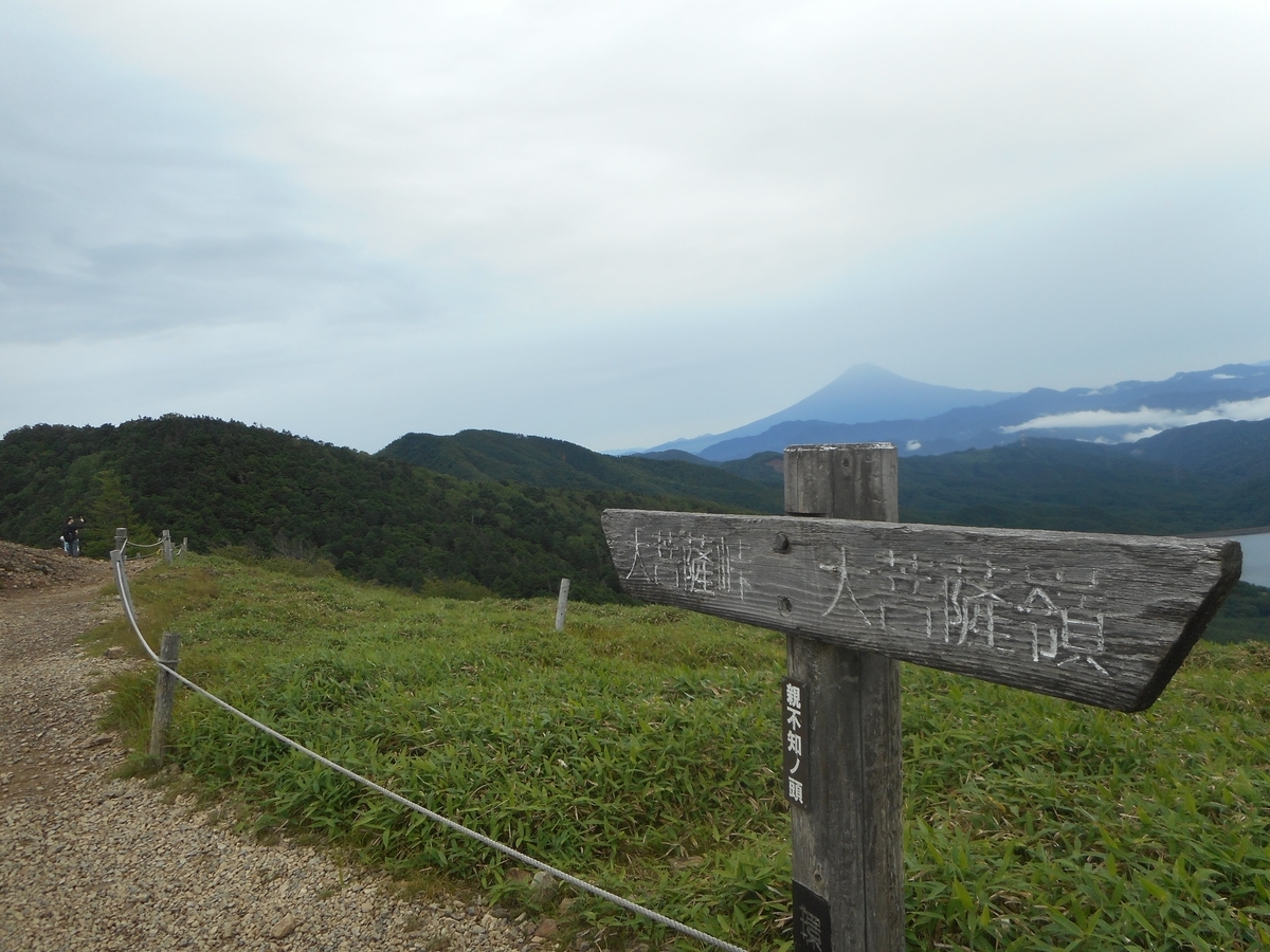 f:id:nezumileader:20190729234939j:plain f:id:nezumileader:20190729234939j:plain
