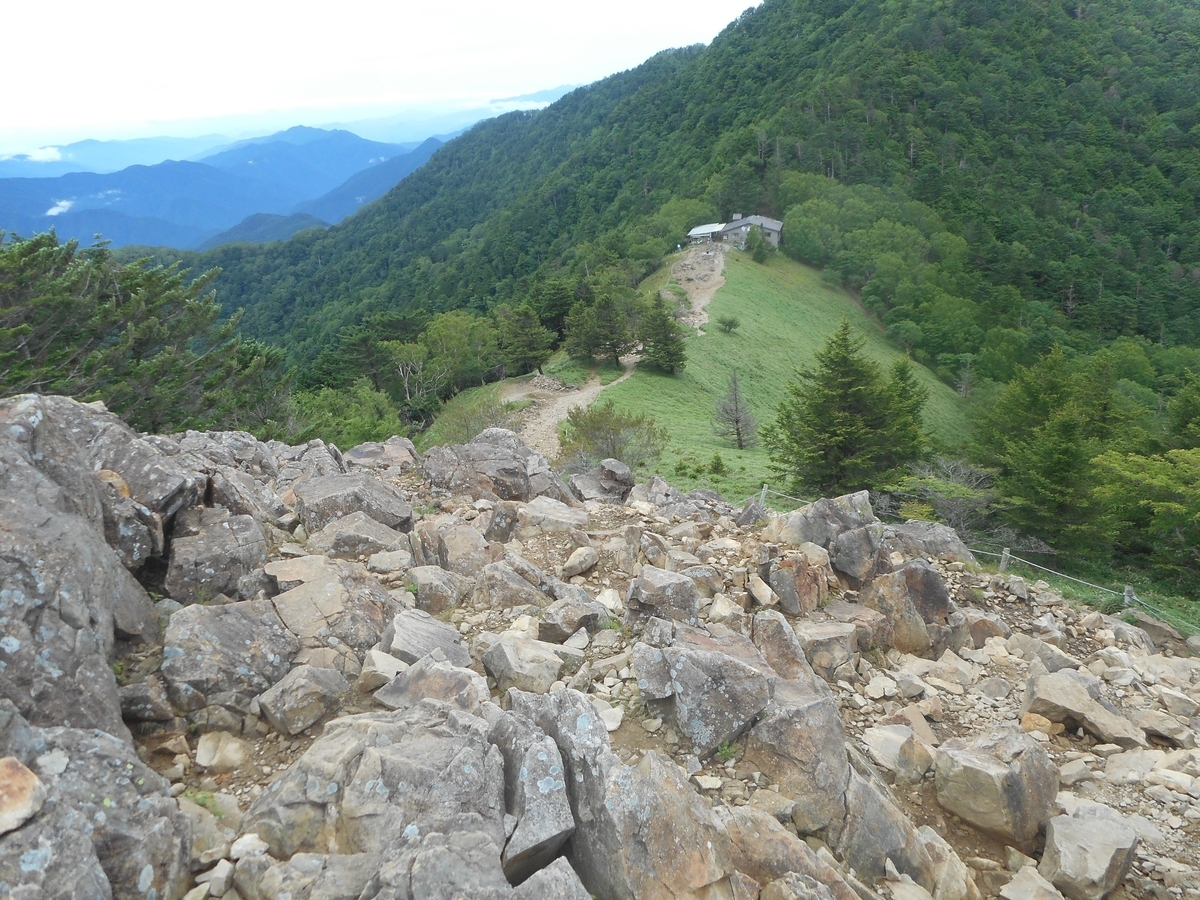 f:id:nezumileader:20190729234943j:plain f:id:nezumileader:20190729234943j:plain