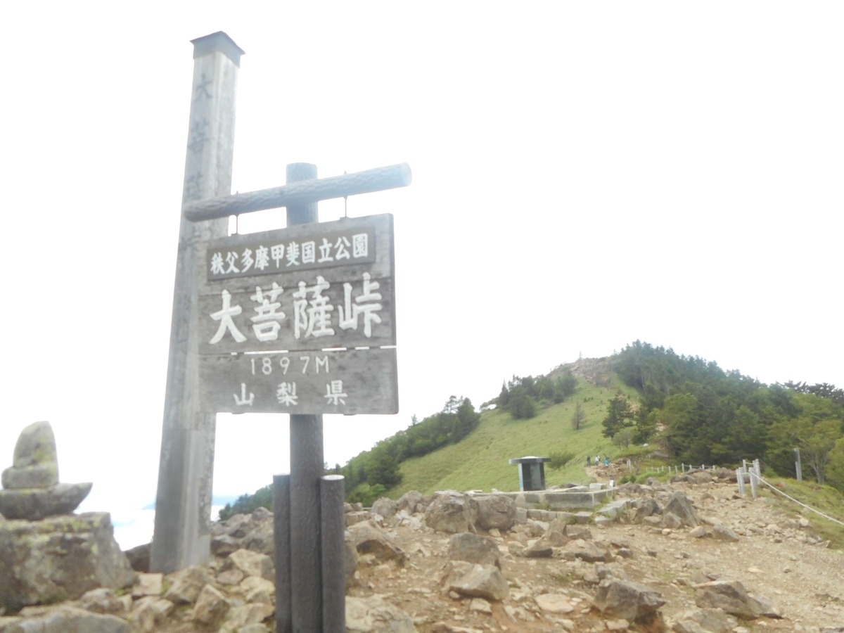 f:id:nezumileader:20190729234947j:plain f:id:nezumileader:20190729234947j:plain