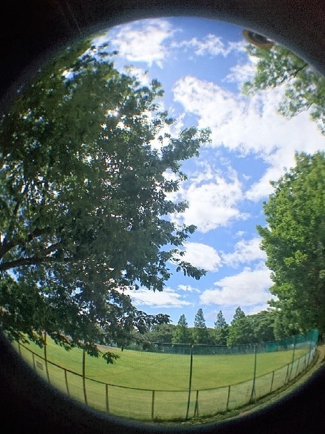 f:id:nezumileader:20200722142132j:plain