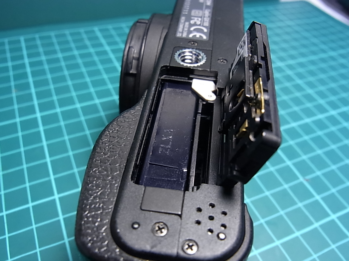 見知らぬ家族の記録 RICOH Caplio GX100 - ネズさんの一日