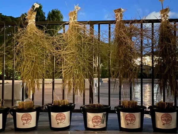 f:id:nfb2020:20220316113656j:plain